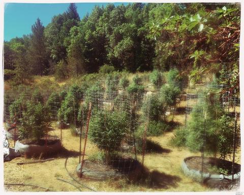 27900 Skyview Rd, Willits, CA 95490 photo 10