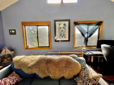 27900 Skyview Rd, Willits, CA 95490 photo 24