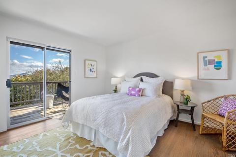 161 Stanford Ave, Mill Valley, CA 94941 photo 48