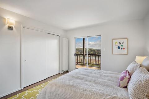 161 Stanford Ave, Mill Valley, CA 94941 photo 49