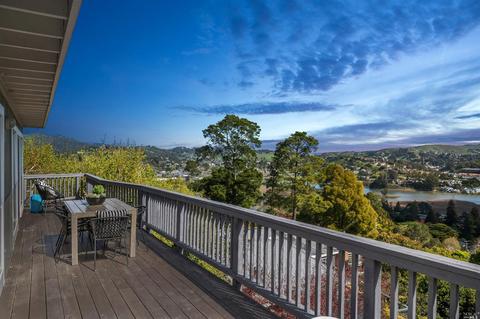 161 Stanford Ave, Mill Valley, CA 94941 photo 60