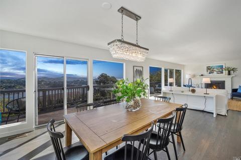161 Stanford Ave, Mill Valley, CA 94941 photo 14