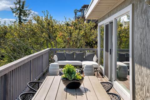 161 Stanford Ave, Mill Valley, CA 94941 photo 22