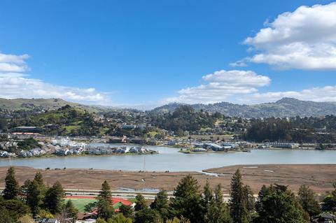 161 Stanford Ave, Mill Valley, CA 94941 photo 58