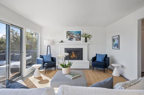 161 Stanford Ave, Mill Valley, CA 94941 photo 10