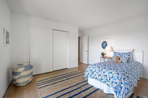 161 Stanford Ave, Mill Valley, CA 94941 photo 46