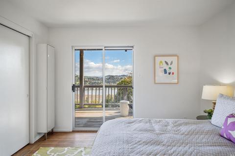 161 Stanford Ave, Mill Valley, CA 94941 photo 50