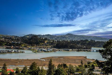 161 Stanford Ave, Mill Valley, CA 94941 photo 61