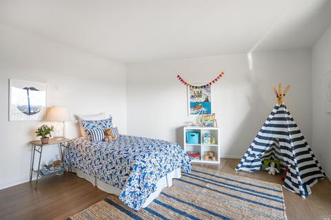 161 Stanford Ave, Mill Valley, CA 94941 photo 45