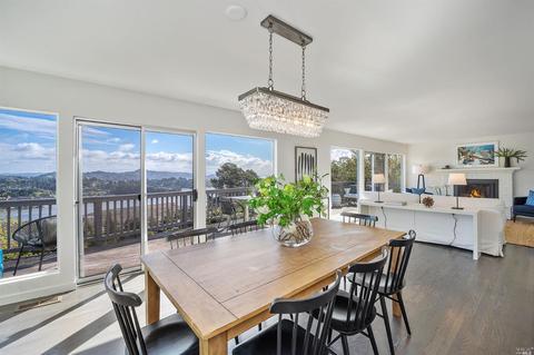 161 Stanford Ave, Mill Valley, CA 94941 photo 16