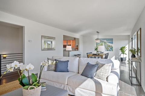 161 Stanford Ave, Mill Valley, CA 94941 photo 9