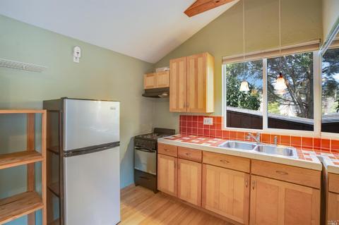 99 Nelson Ave, Mill Valley, CA 94941 photo 23