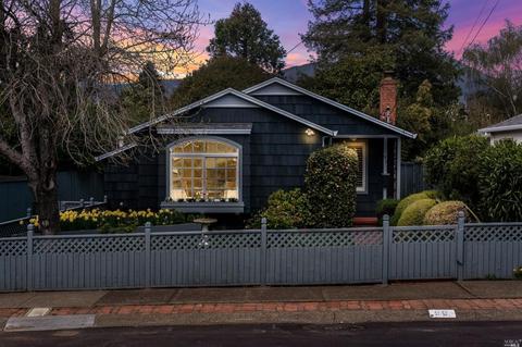 99 Nelson Ave, Mill Valley, CA 94941 photo 29