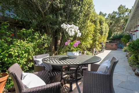 311 Ross Dr, Mill Valley, CA 94941 photo 22