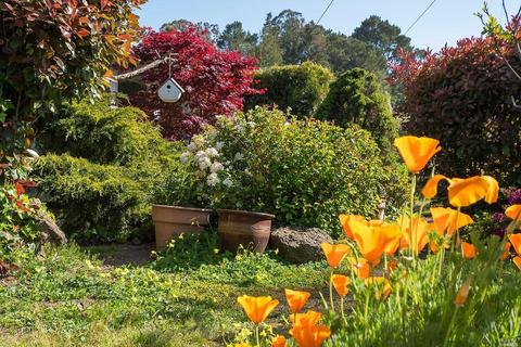 311 Ross Dr, Mill Valley, CA 94941 photo 33