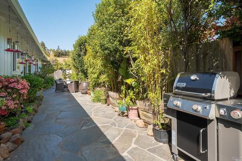 311 Ross Dr, Mill Valley, CA 94941 photo 24