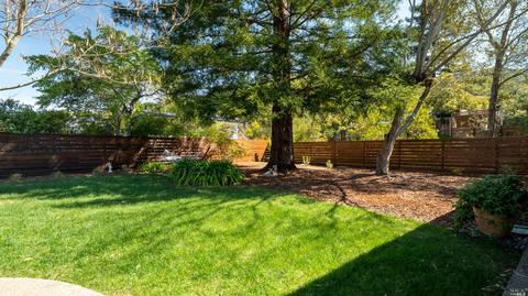 7 Thunderbird Dr, Novato, CA 94949 photo 23