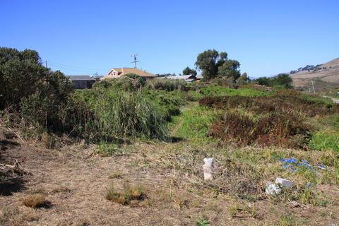 55 Keefe Ave, Bodega Bay, CA 94923 photo 17