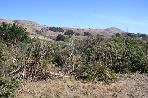 55 Keefe Ave, Bodega Bay, CA 94923 photo 13