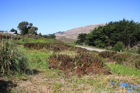 55 Keefe Ave, Bodega Bay, CA 94923 photo 10