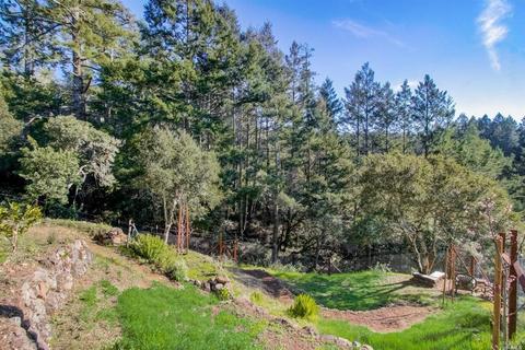 115 Tamarack Rd, San Geronimo, CA 94963 photo 14
