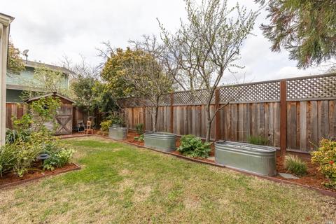 35 Page St, Cotati, CA 94931 photo 28