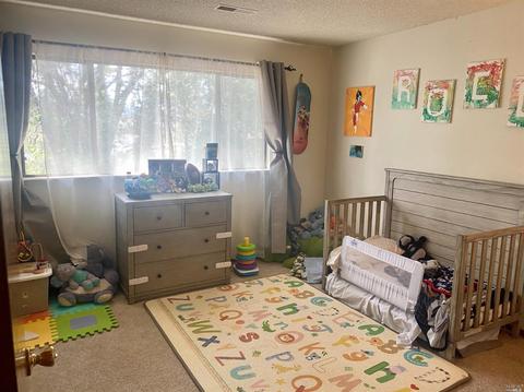 1305 Prentice Dr, Healdsburg, CA 95448 photo 13