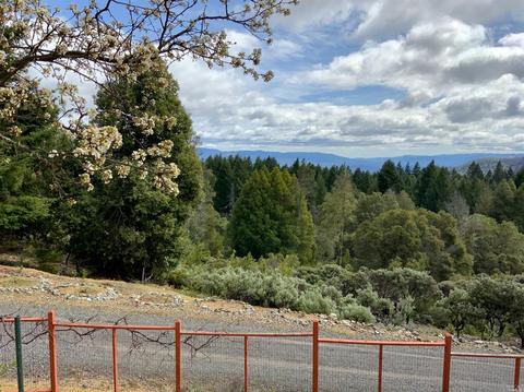 4809 Bear Canyon Rd, Willits, CA 95490 photo 32