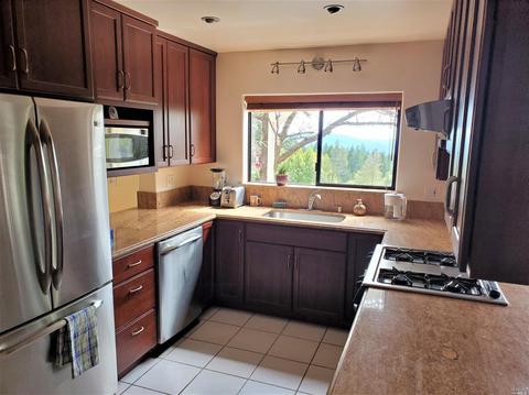 4809 Bear Canyon Rd, Willits, CA 95490 photo 10