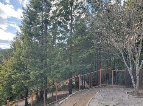 4809 Bear Canyon Rd, Willits, CA 95490 photo 8