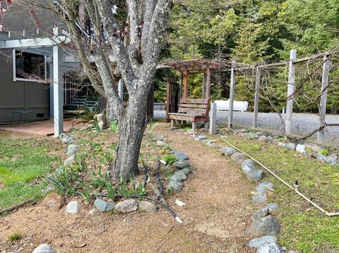 4809 Bear Canyon Rd, Willits, CA 95490 photo 3