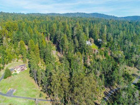 22115 Lee Dr, Jenner, CA 95450 photo 1