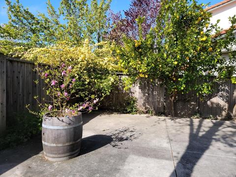 773 Miramonte St, Windsor, CA 95492 photo 18