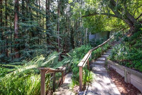580 Edgewood Ave, Mill Valley, CA 94941 photo 38