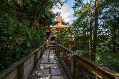580 Edgewood Ave, Mill Valley, CA 94941 photo 41