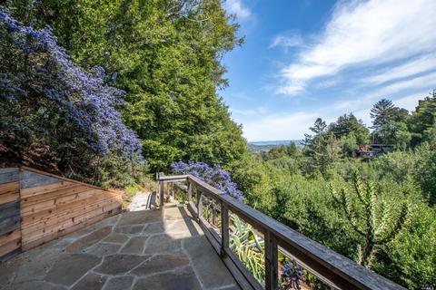 580 Edgewood Ave, Mill Valley, CA 94941 photo 40