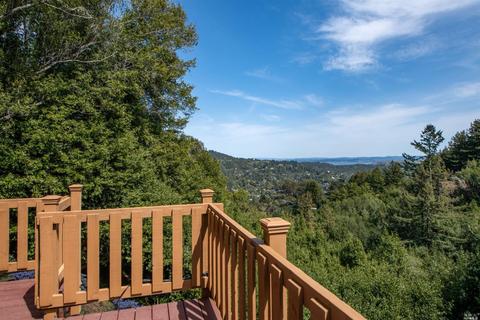 580 Edgewood Ave, Mill Valley, CA 94941 photo 18
