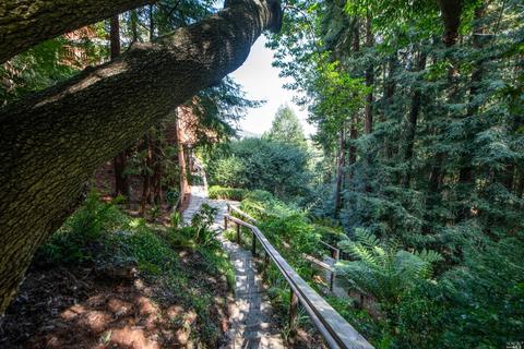 580 Edgewood Ave, Mill Valley, CA 94941 photo 37