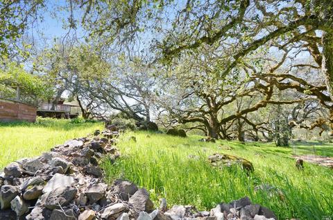 5500 Eagle Ridge Rd, Penngrove, CA 94951 photo 45