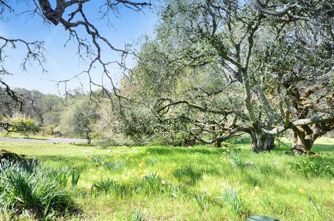 5500 Eagle Ridge Rd, Penngrove, CA 94951 photo 42