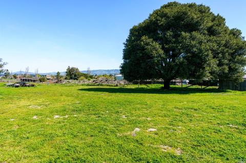 3034 Skillman Ln, Petaluma, CA 94952 photo 39