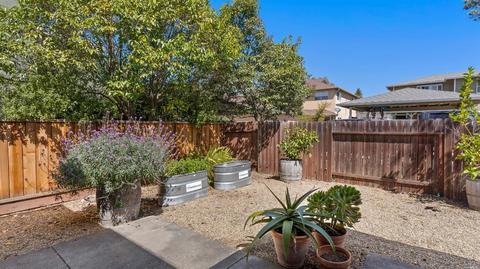 323 Edith St, Petaluma, CA 94952 photo 18
