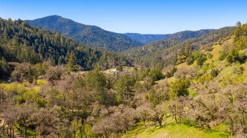 3540 Williams Ranch Rd, Willits, CA 95490 photo 28