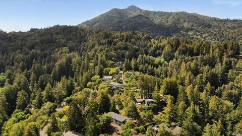 136 Upland Rd, Kentfield, CA 94904 photo 49