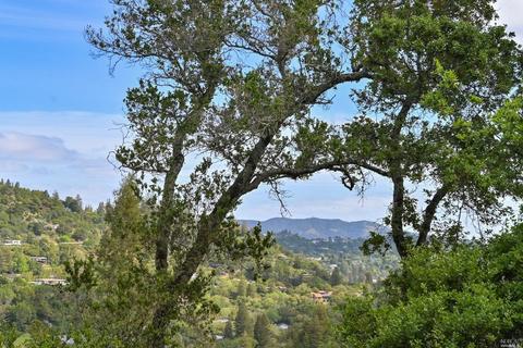 136 Upland Rd, Kentfield, CA 94904 photo 47