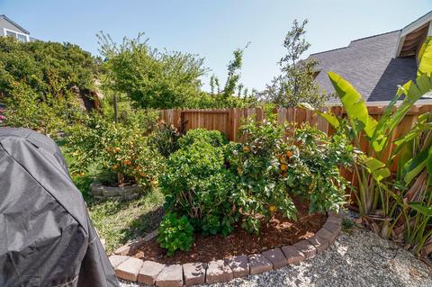 824 S Regatta Dr, Vallejo, CA 94591 photo 45