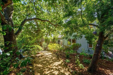 971 Central Ave, Sonoma, CA 95476 photo 53