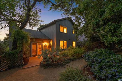 971 Central Ave, Sonoma, CA 95476 photo 45
