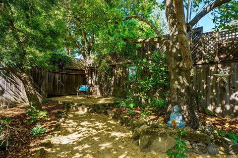 971 Central Ave, Sonoma, CA 95476 photo 51