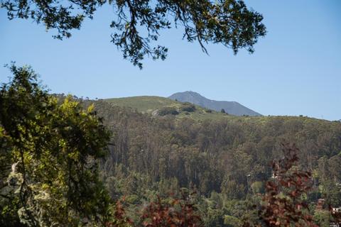 712 Cabin Dr, Mill Valley, CA 94941 photo 38